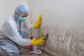 Best Mold Damage Restoration  in Fowler, MI